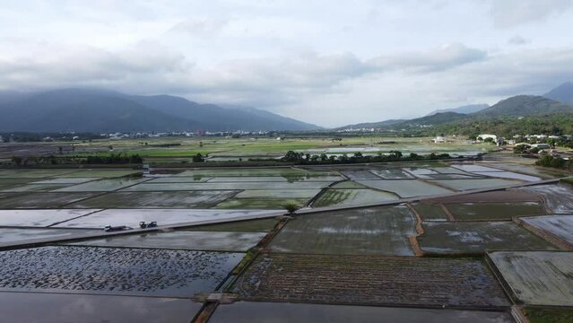 Aerial shot of rice fields in Yokohama city, Kanagawa Prefecture, Japan