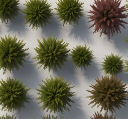 Fototapeta na wymiar set ,of MugwortsSalix , purpureaMyrtle trees rendered, fro_