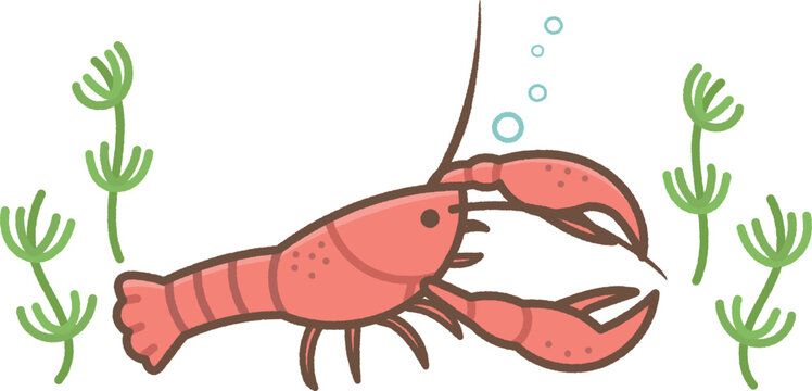 ザリガニと水草のイラスト