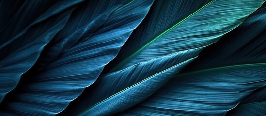 abstract blue background, stripe of tropical palm leaf