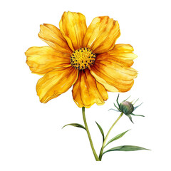 A yellow flower with a brown center