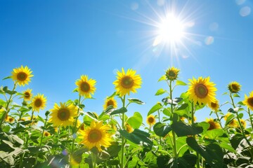 A field of bright yellow sunflowers turning their faces towards the sun, creating a stunning display of color against a clear blue sky, Generative AI