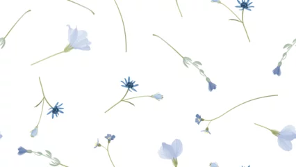  Floral seamless pattern, assorted blue wildflowers on grey background © momosama