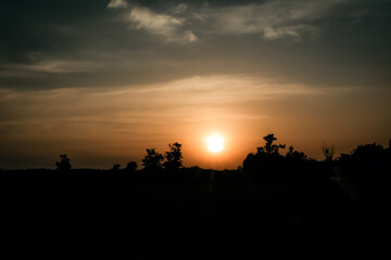 Fototapeta na wymiar silhuate tree at sunset background nice view