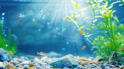 Brightly lit aquarium with small fish and aquatic plants under sun rays