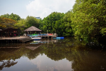 Obraz premium The atmosphere is cool and calming in the Mangrove Nature Tourism Park Area in Muara Angke, Pantai Indah Kapuk, Jakarta. One of the green areas in Jakarta which is also a tourist destination.