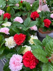 a carnation flower made of soap