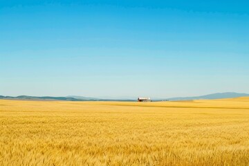 A vast golden wheat field stretching to the horizon under a clear blue sky, with a lone farmhouse nestled amidst the crops, Generative AI
