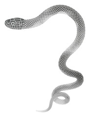 年賀状に使える巳年_とぐろを巻く蛇の水墨画風イラスト
