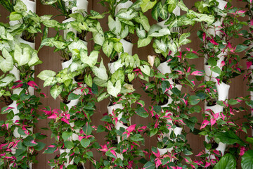 연두색과 빨간색의 잎이 어우러진 정원 풍경