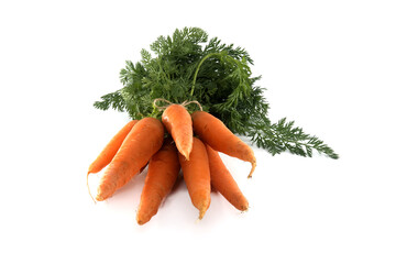 Fresh carrots with green leafy tops isolated on white