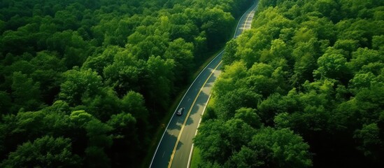 Aerial view of paved road passing through green trees and bushes on a sunny day