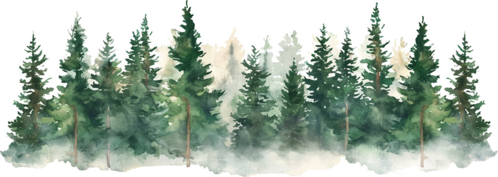 watercolor green pine forest landscape banner