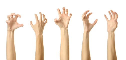 Scratch, catch or grab something. Multiple images set of female caucasian hand with french manicure showing Scratch gesture © Iurii