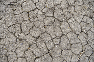 Dry and cracked land - 791256616