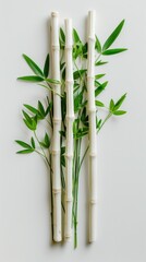 Minimalist Vegan Lifestyle Concept with Asparagus and Bamboo Sticks on White Background for World Vegan Day