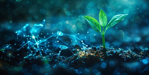 A single plant sprout growing from the soil, surrounded by glowing blue and white data points symbolizing technology, with futuristic patterns in background .innovation in modern agriculture Concept