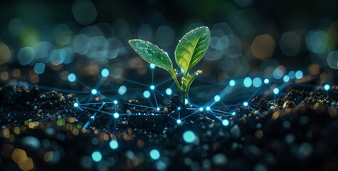 A single plant sprout growing from the soil, surrounded by glowing blue and white data points symbolizing technology, with futuristic patterns in background .innovation in modern agriculture Concept