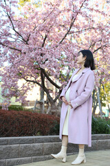 春のマタニティフォト　アジア妊婦　桜