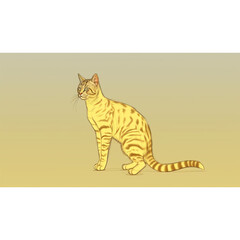 Obraz premium cat on a white background