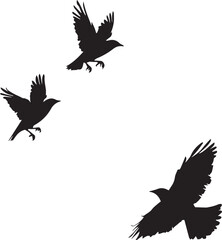 Fototapeta premium set of birds flying