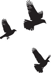 set of silhouettes of birds flying