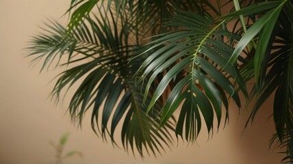 palm tree branch and leaves in beidge wallpaper