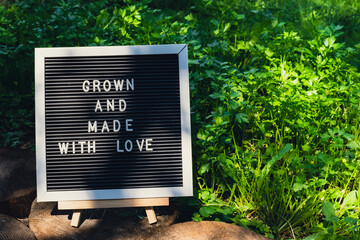 GROWN AND MADE WITH LOVE message on background of fresh eco-friendly bio grown green herb parsley...