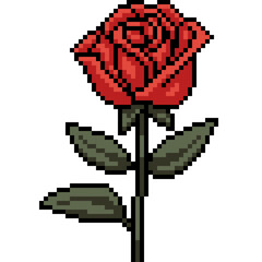 pixel art of rose bloom grow - 791268453