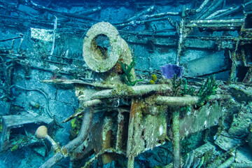 Vents and Pipes and Coral