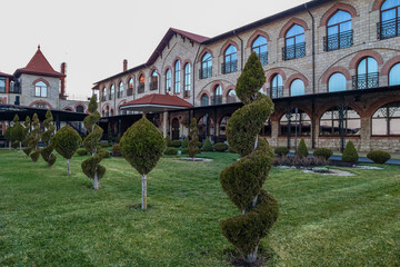 Green thujas trimmed with spiral shape