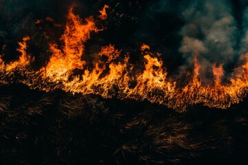 Wildforest fire burning forest trees eecological disaster smoke aerial view from helicopter danger death animals damage hazard blaze pollution tragedy
