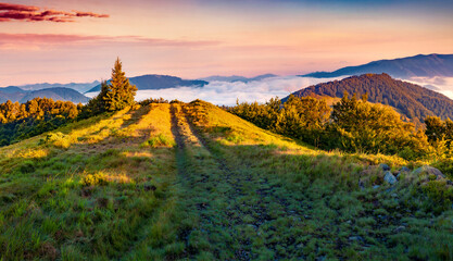 Breathtaking summer scene of Carpathian mountains with dirt road. Huge fog wraping mountain valley...