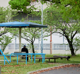 春の朝の公園のベンチで座る一人のシニア男性の姿