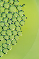Abstract macro photograph of many water bubbles in oil on green background.