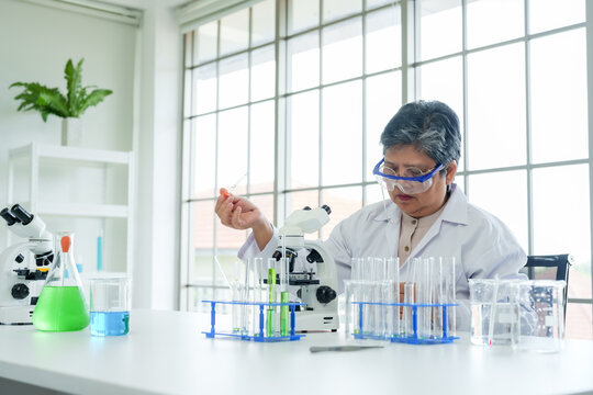 Senior Asian female science teacher, Mature scientist in white coat conducts experiment with pipette and test tube near microscope, beakers, focused on work, in lab with natural light.