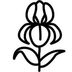 Orchid Line Icon