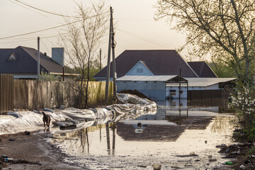 Flood in Kazakhstan. Strengthening from bags in a dacha cooperative. The river overflowed its...