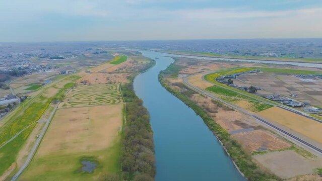 春の渡良瀬川上空からのドローン映像_茨城県側から埼玉側へ飛行_三国橋と土手に咲く菜の花