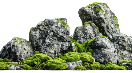 Rocks Covered by Moss Isolated on White Background. Stone Rock with Plant
