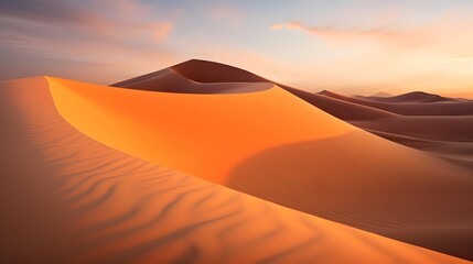 Fototapeta na wymiar Sand dunes in the Sahara desert at sunset. Panorama.