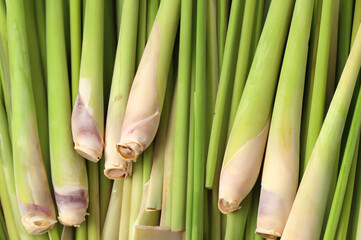 Obraz premium Organic Vegetable Lemongrass