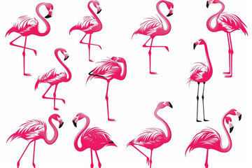 various pink flamingo bird illustration vector icon, white background, black colour icon