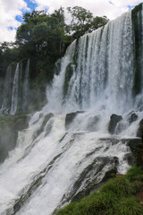 Obraz premium waterfall in the jungle