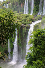 Obraz premium waterfall in the forest