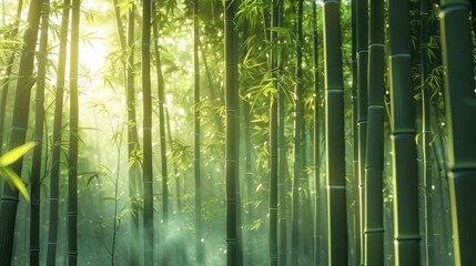 A tranquil bamboo forest alive with the whisper of rustling leaves and the chirping of hidden birds, its dense canopy filtering the sunlight into dappled patterns of shade and light, 
