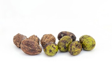 Raw and Dry Terminalia Chebula or Haritaki Fruit Isolated on White Background with Copy Space, Also Known as Chebulic Myrobalan or Harad, Ayurvedic Medicinal Herbs