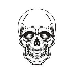 vintage skull design style illustration