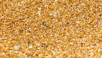 Small orange crushed stone. As a background