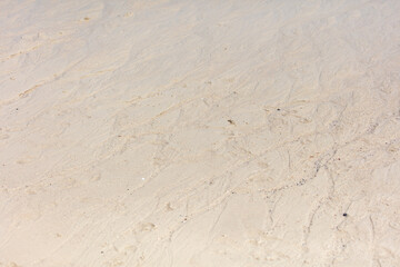 White sand on the seashore as an abstract background. Texture